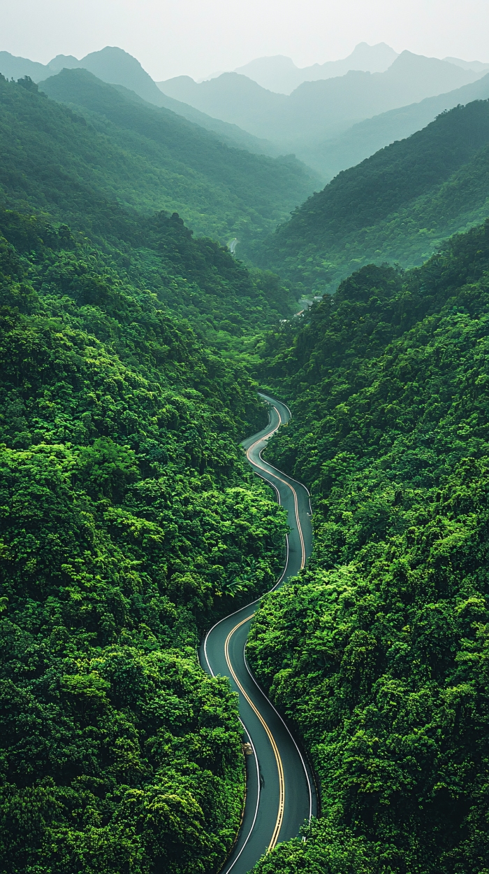 蜿蜒山路穿梭绿意丛林图片-包图网企业站