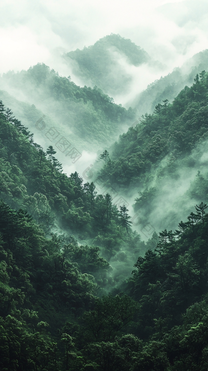 雾气缭绕的绿色山峦旅行图片-包图网企业站