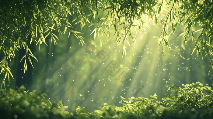 阳光穿透绿色树叶的森林图片-包图网企业站