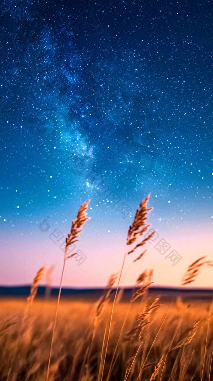 星空下的麦田夜景麦田梦幻图片-包图网企业站