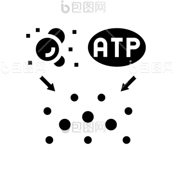 代谢组学图片-代谢组学素材-包图企业站