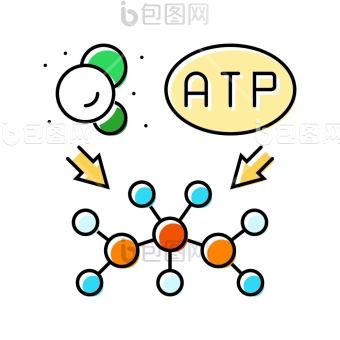 代谢组学图片-代谢组学素材-包图企业站