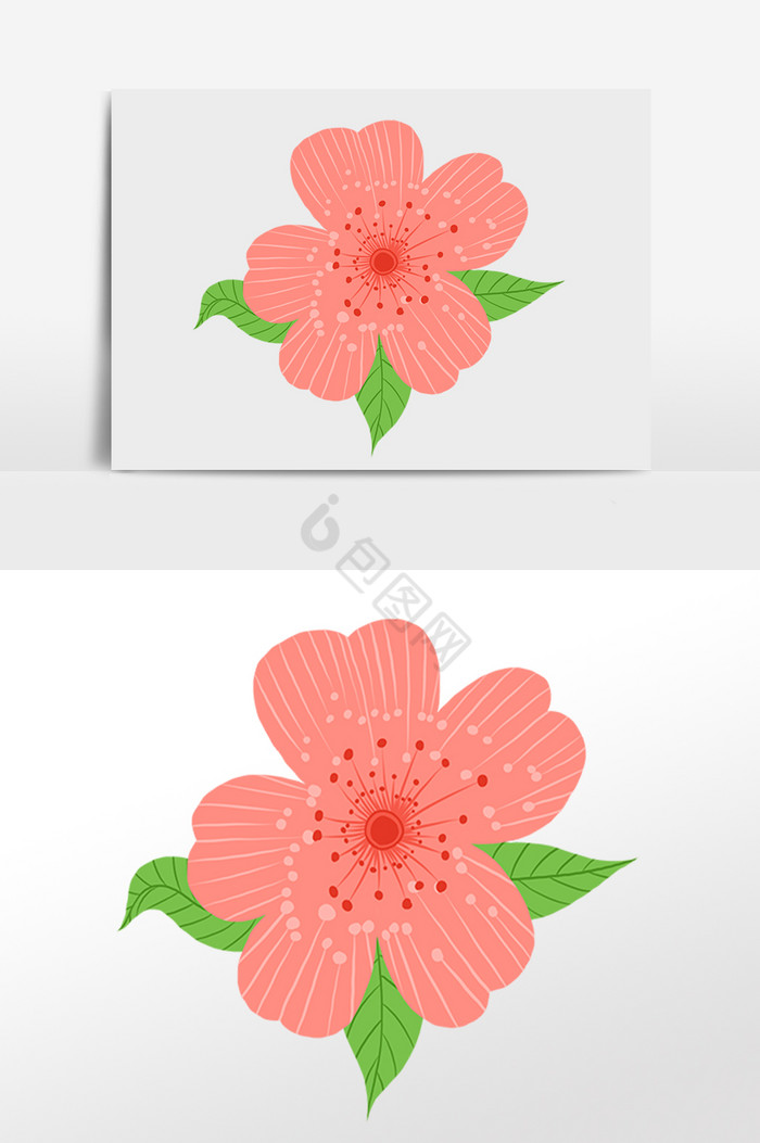 梅花花朵花瓣插画图片