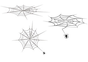 蜘蛛网万圣节狂欢