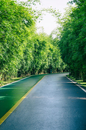 绿道林荫大道跑道