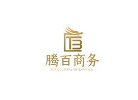 简约龙型TB字母商务logoVI模板