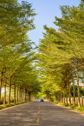 展望城市道路日落风景图片