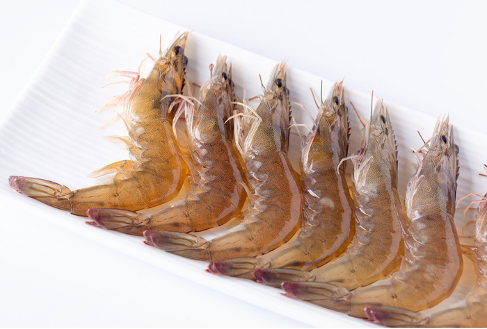 基围虾鲜活海虾图片
