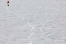 冬季的内蒙坝上雪景空旷简约风景图