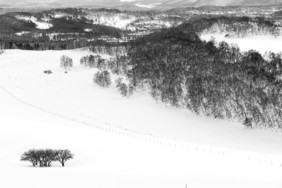 冬季内蒙坝上雪景黑白风景画