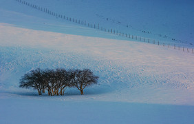 冬季的内蒙坝上雪景冷色调风景图