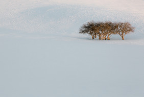 冬季的内蒙坝上雪景极简风景图