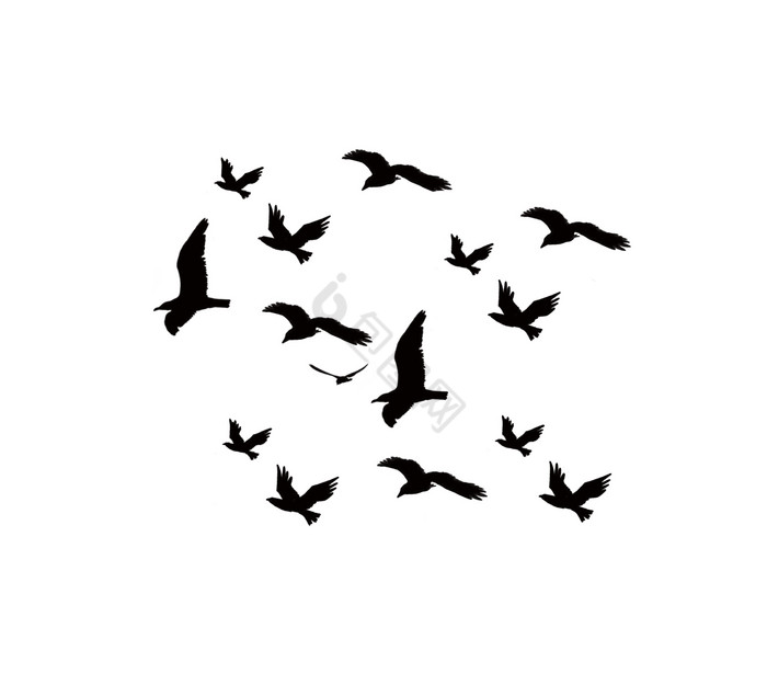 鸟飞鸟天空飞翔展翅翱翔插画