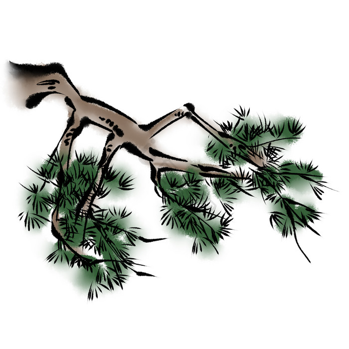 水墨画水墨松枝松树松叶插画