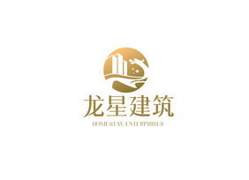 高端龙图形大气建筑地产logoVI模板