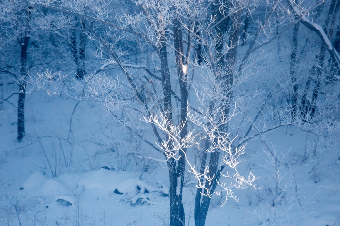 吉林冰雪图片-吉林冰雪素材免费下载-包图网