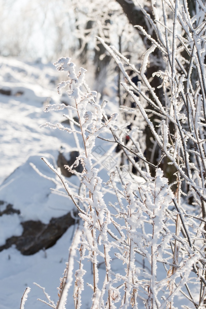 吉林冰雪图片-吉林冰雪素材免费下载-包图网