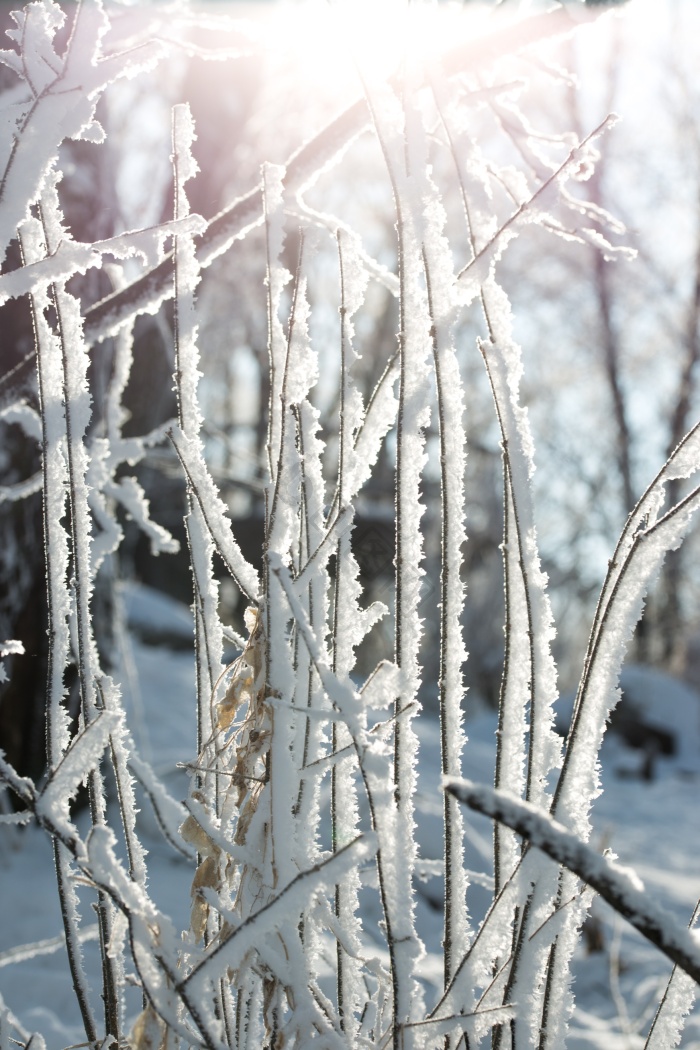 吉林冰雪图片-吉林冰雪素材免费下载-包图网
