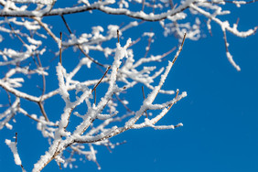 吉林市雾凇树挂高山滑雪场