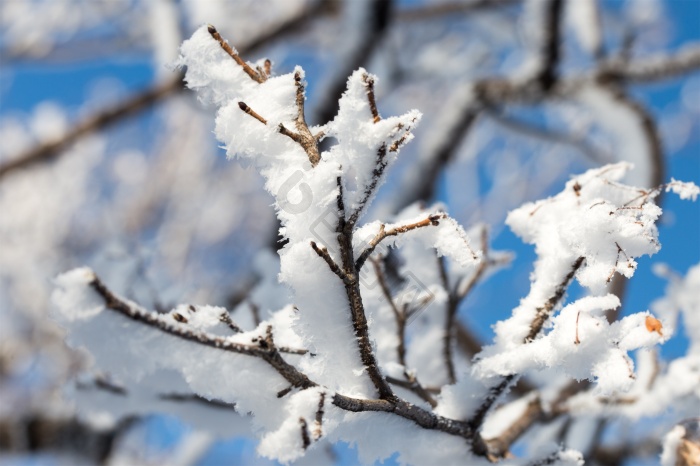 雪特写图片-雪特写素材免费下载-包图网