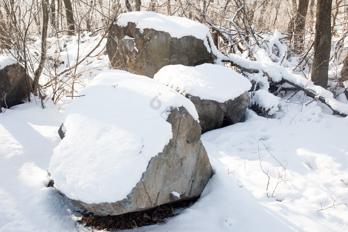 北方雪地上的石头图片