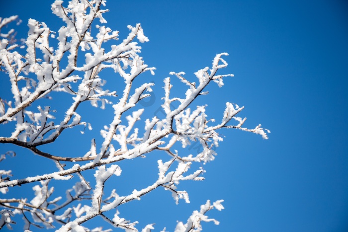 吉林冰雪图片-吉林冰雪素材免费下载-包图网