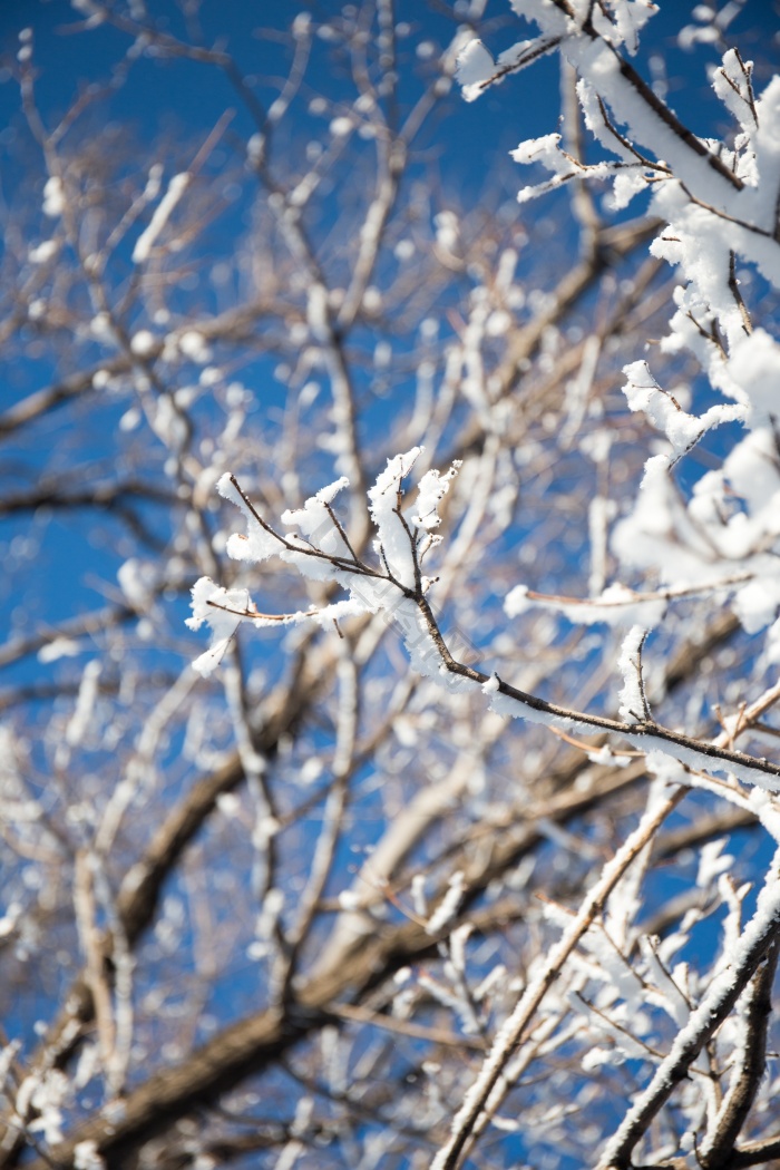 吉林冰雪图片-吉林冰雪素材免费下载-包图网