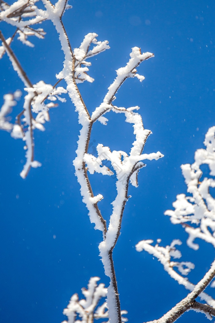 吉林冰雪图片-吉林冰雪素材免费下载-包图网