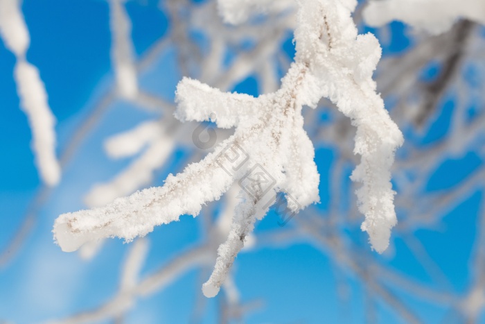 雪特写图片-雪特写素材免费下载-包图网