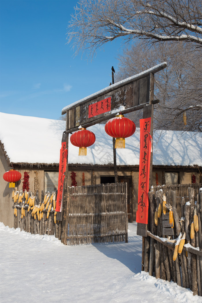 雪村竖版拍摄人家门口条幅灯笼福字过年图片