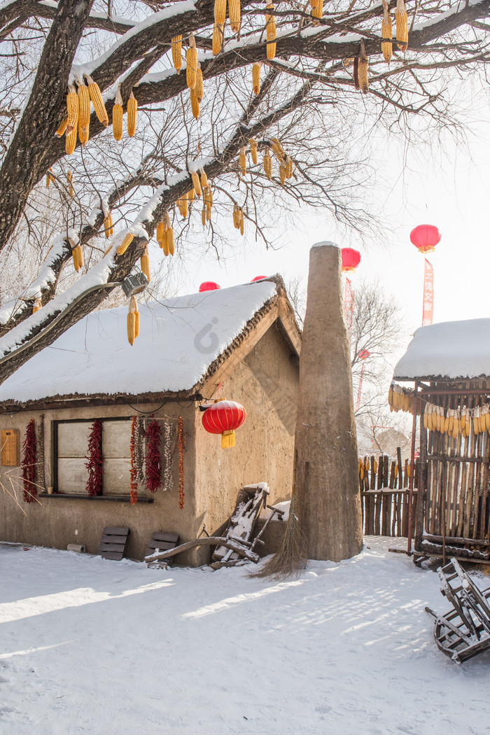 竖版拍摄乡村雪屋丰收玉米挂在树上红灯笼图片