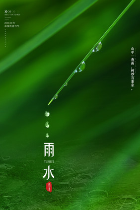 简约雨水传统节气海报设计