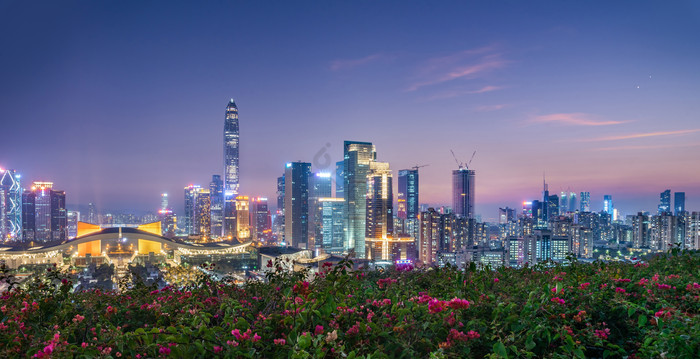 深圳福田区城市夜景图片