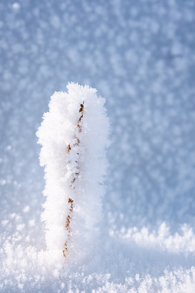 冬季大雪雪花场景美丽光影