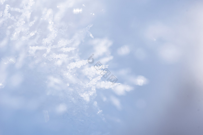 雪花上的冰晶微距图片