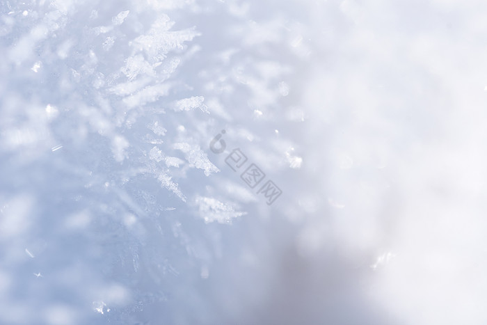 雪地上的雪花特写白色冰晶图片