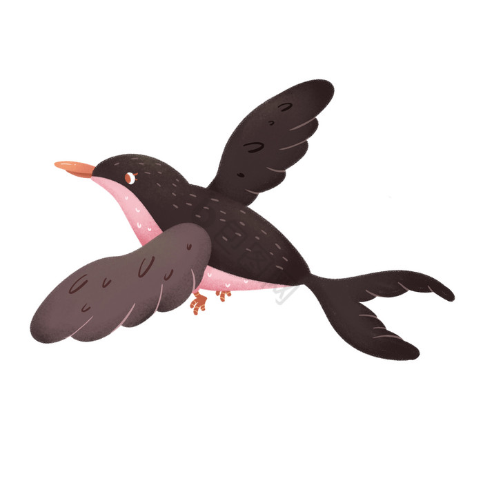 小动物鸟类飞翔燕子图片