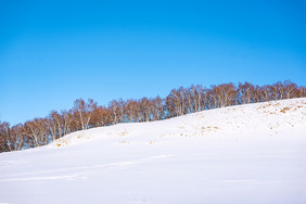 冬季的草原蓝天白雪