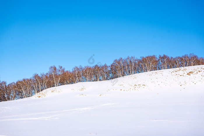 冬季的草原蓝天白雪图片