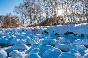 冬季草原逆光树影雪景清晨阳光