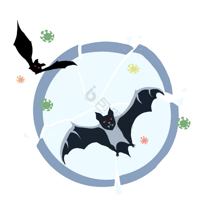 新型冠状病毒拒绝野味蝙蝠图片