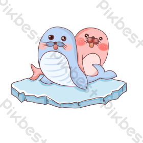 受伤海豹图片