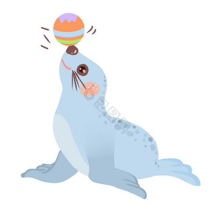 海豹动物插画图片