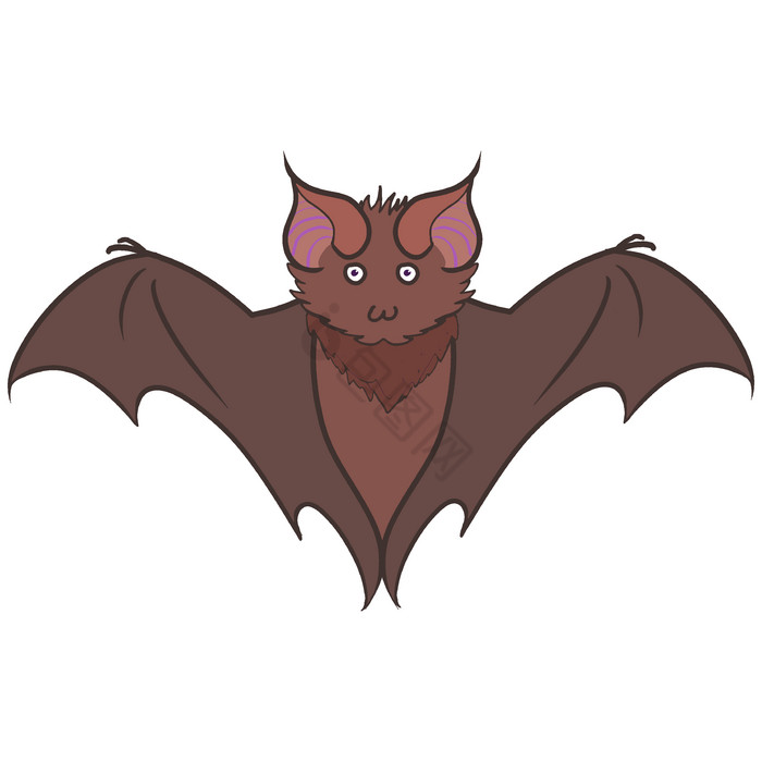 动物蝙蝠插画图片