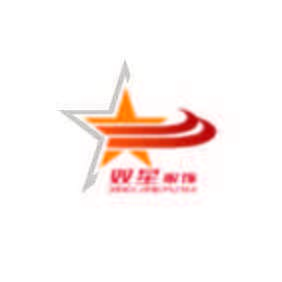 矢量星形抽象服装品牌logo标志