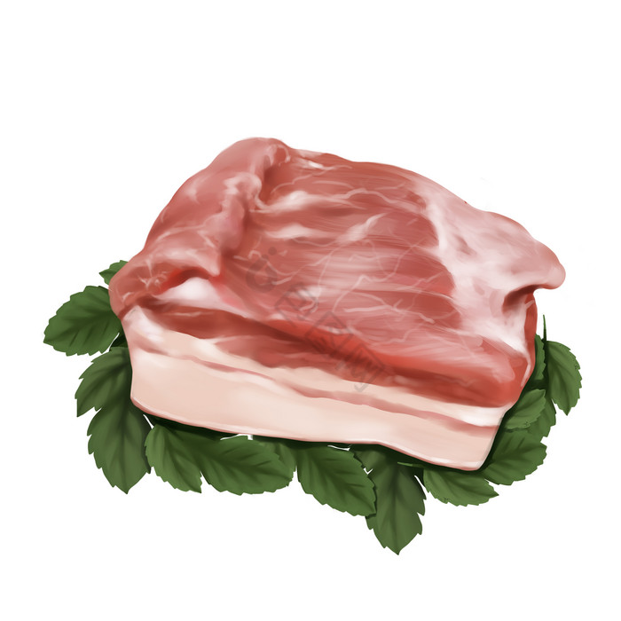 生鲜食材猪肉插画图片