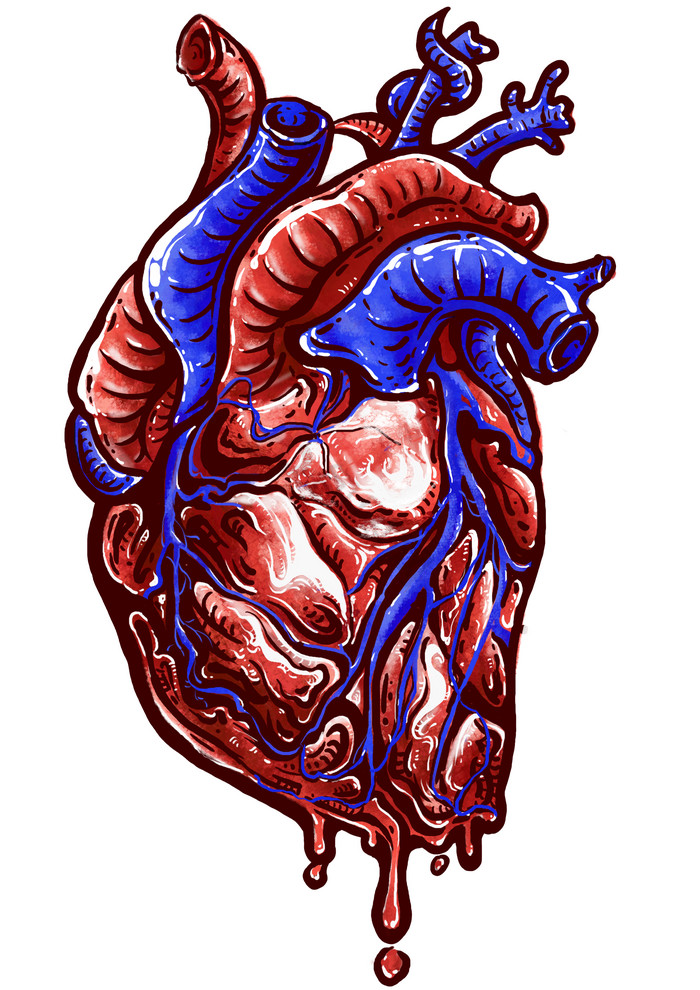心脏医疗心跳脉冲图片