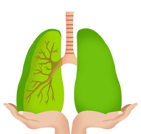 健康肺部预防结核病