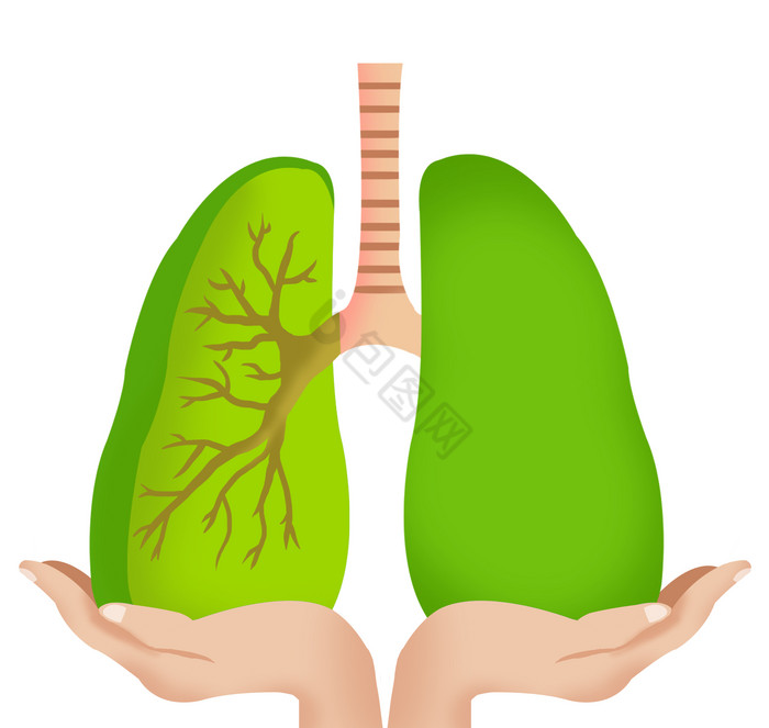 健康肺部预防结核病图片