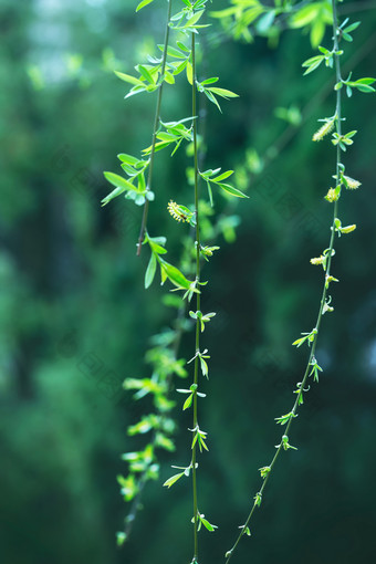 海报背景图高清